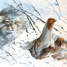 мир животных