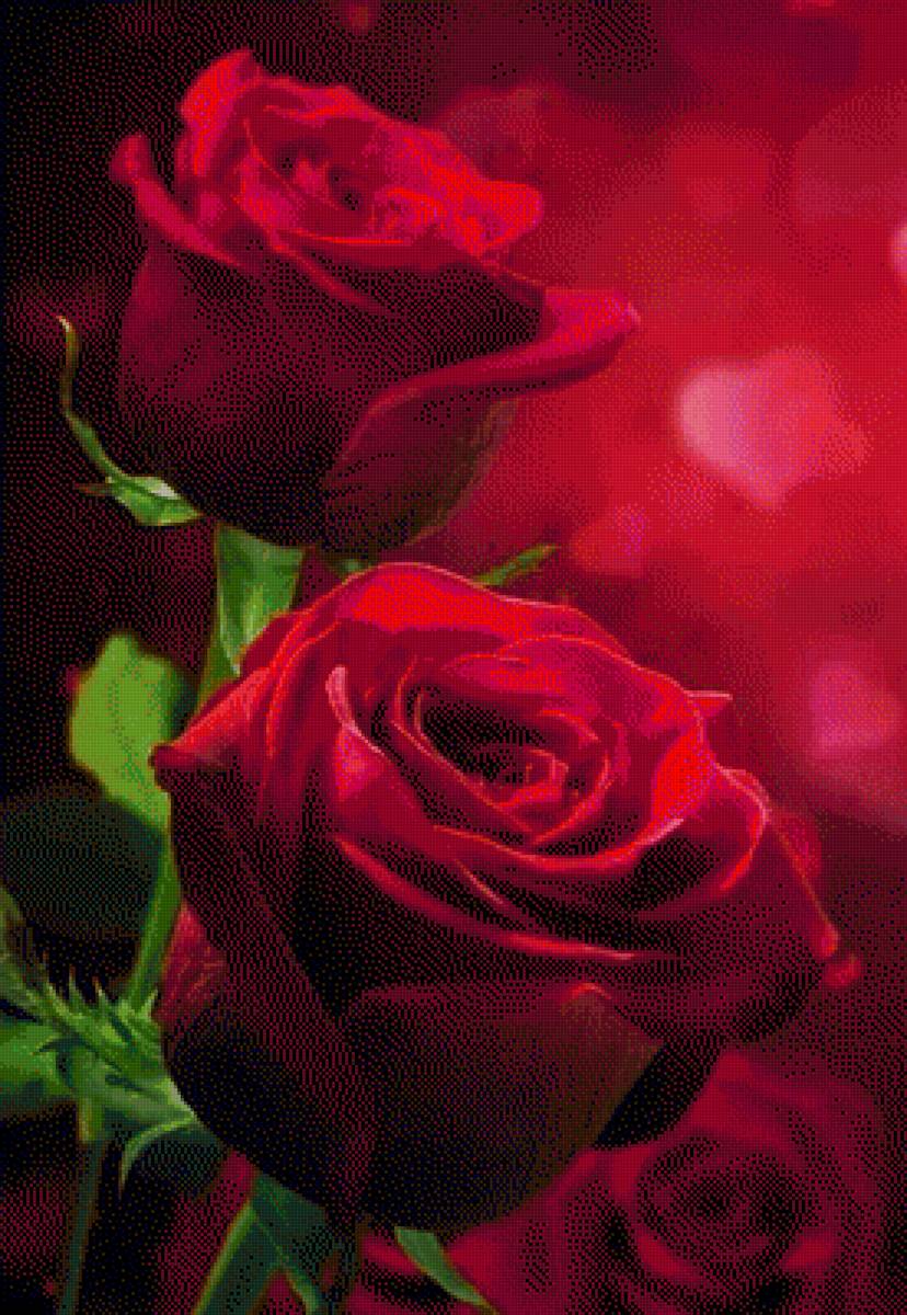 rozes - vita.s - предпросмотр