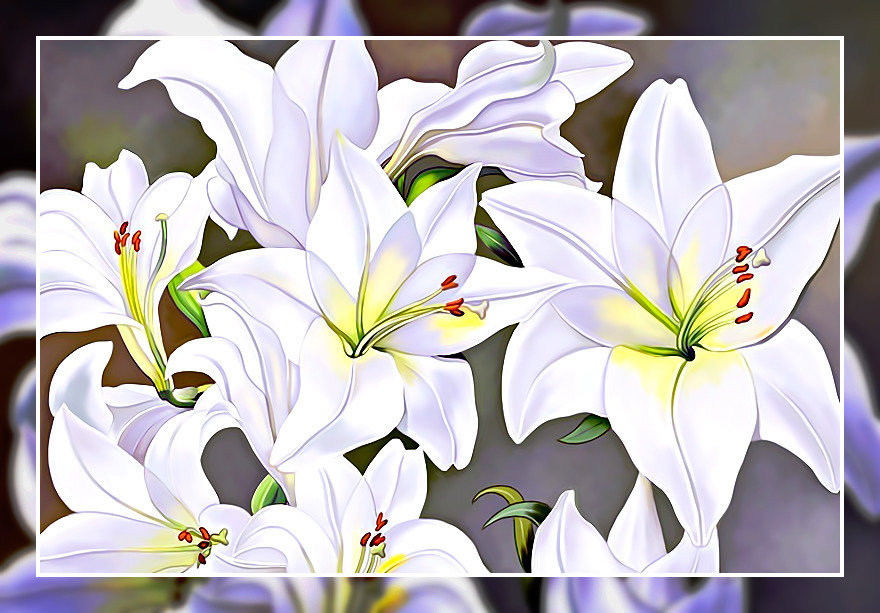 Белые лилии. - лилии, белые, букет., цветы - оригинал