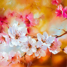 Схема вышивки «Сакура»