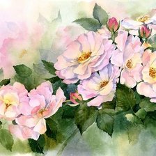 Оригинал схемы вышивки «Шиповник» (№1952726)