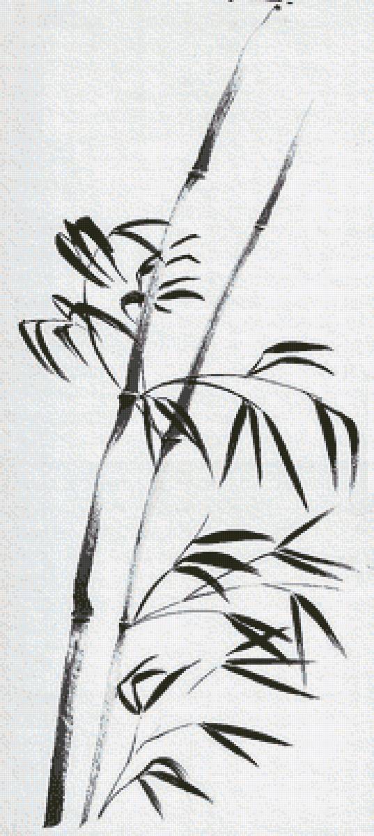 Бамбук - предпросмотр
