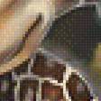 Предпросмотр схемы вышивки «Жирафы.» (№1952852)