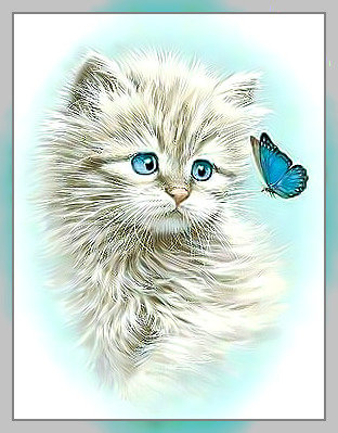 Котик с бабочкой. - бабочка., котенок - оригинал