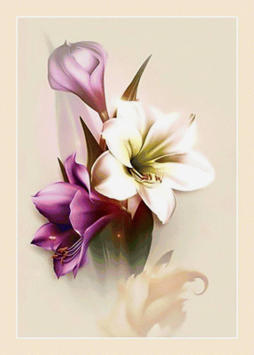 Лилии. - цветы, лилии. - предпросмотр