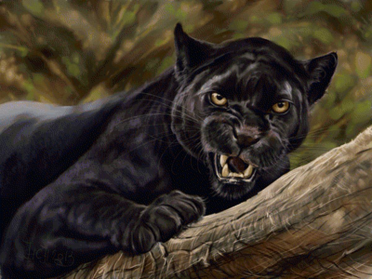 ЧЕРНАЯ ПАНТЕРА - предпросмотр