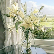 Белые лилии на окне.