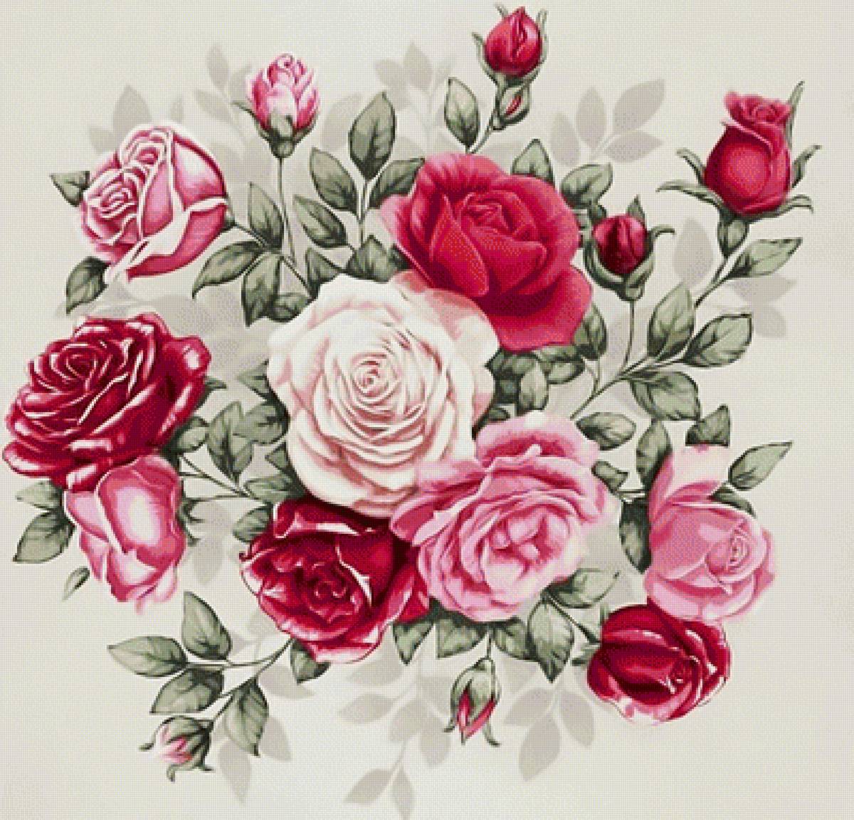 Розовый букет. - букет, розы., цветы - предпросмотр