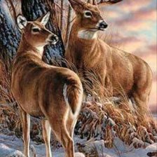 Схема вышивки «Пара»