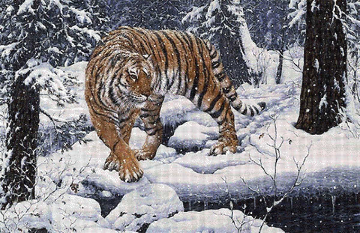 тигр - мир животных - предпросмотр