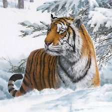 Схема вышивки «тигр»