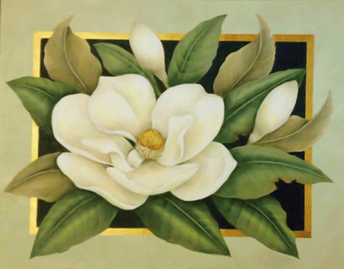 Магнолия. - картина, магнолия., цветы - предпросмотр