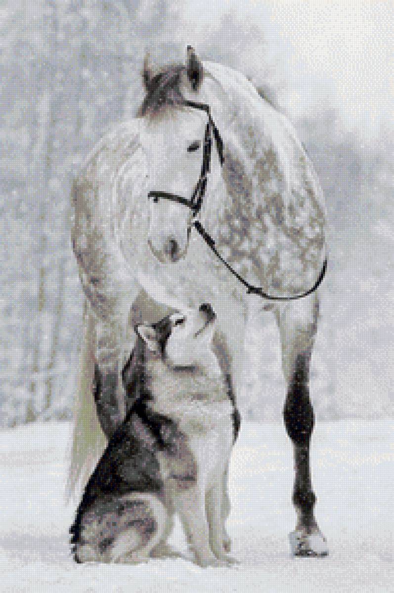 друзья - лошадь и хаски - предпросмотр