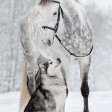 Схема вышивки «друзья»