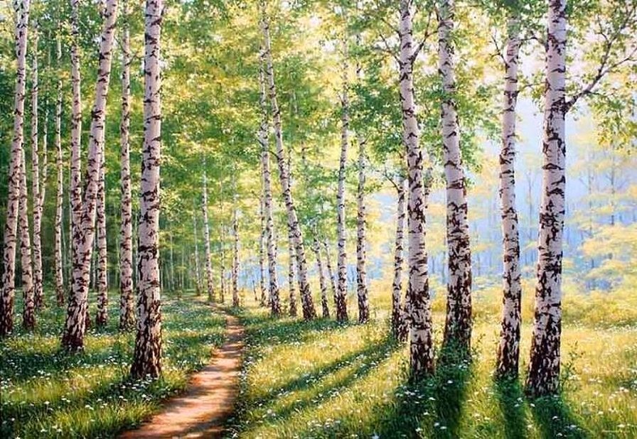 берёзки - пейзаж, лес, природа, березы - оригинал