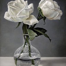 Схема вышивки «розы»