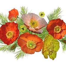 Схема вышивки «№1953925»