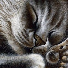 Схема вышивки «кот»