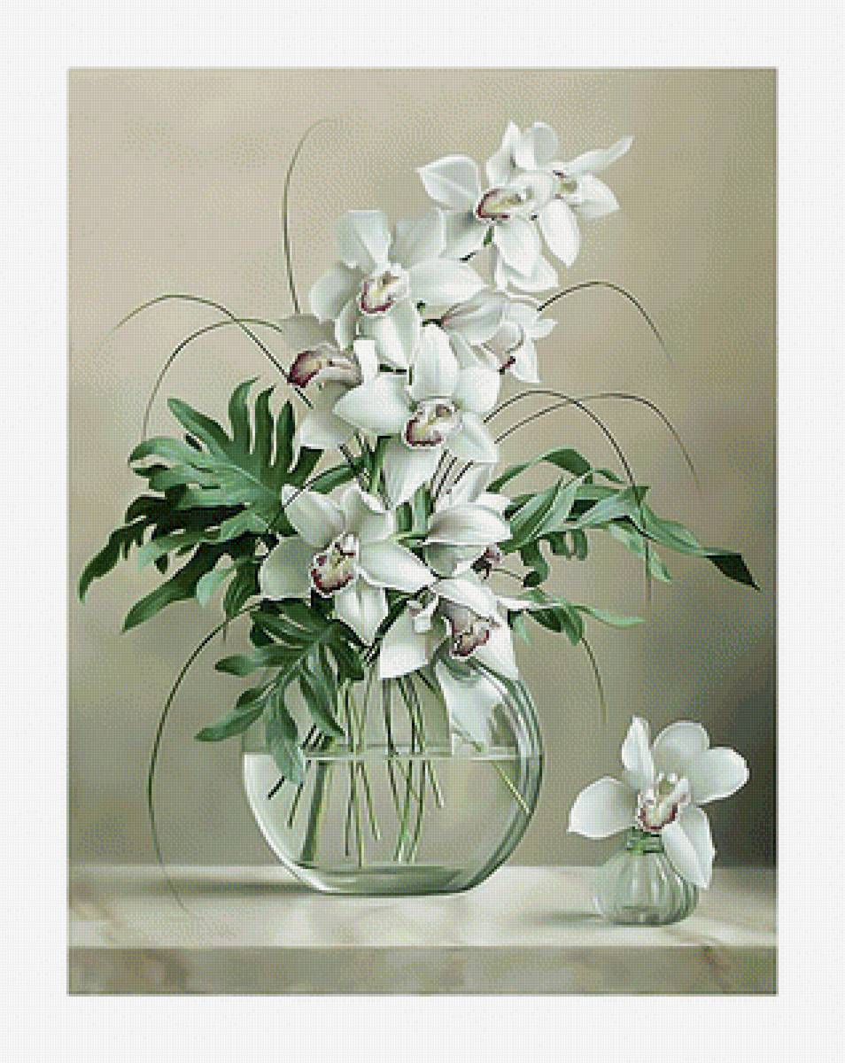 Белая орхидея. - букет, ваза, орхидея., белая - предпросмотр