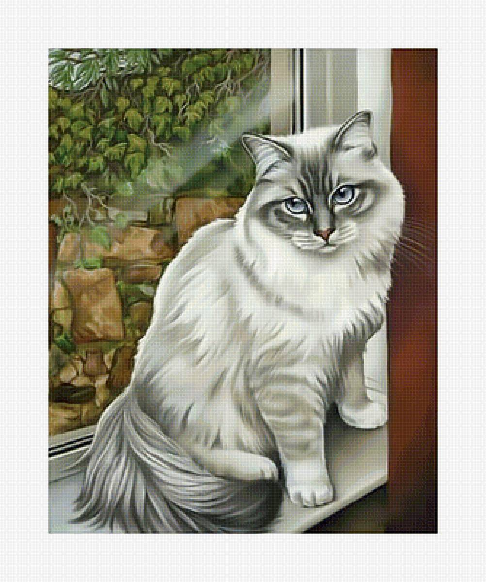 Кошечка на окне. - окно, животные., кот, кошка - предпросмотр