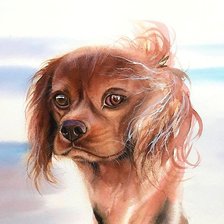 Схема вышивки «акварель»