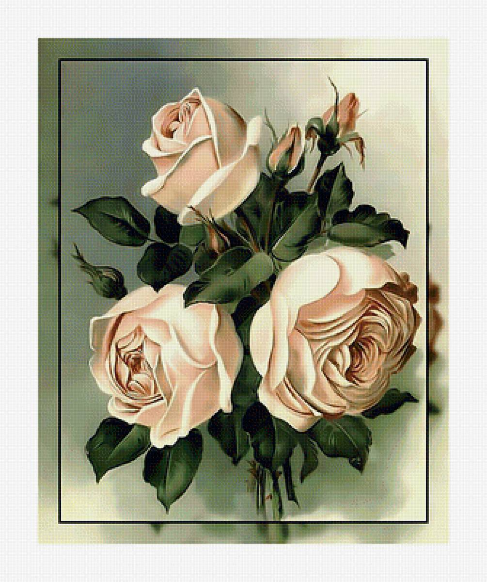 Кремовые розы. - розы, букет., цветы - предпросмотр