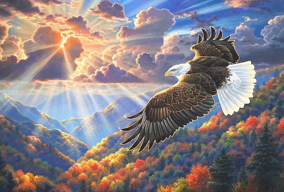 Полет - оригинал