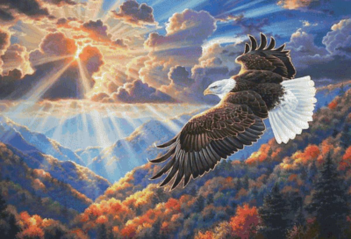 Полет - предпросмотр