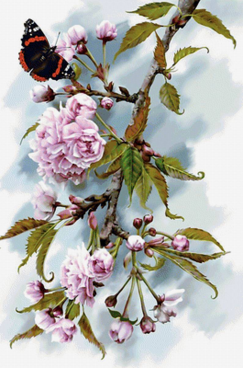 Цветы и бабочка. - цветы, ветка, бабочка. - предпросмотр