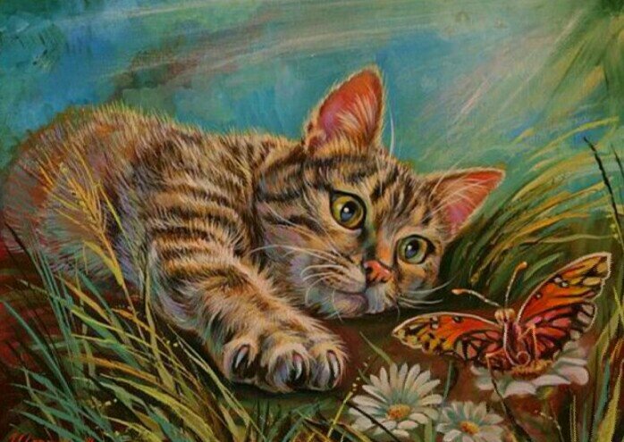 Котик и бабочка - кот и бабочка - оригинал