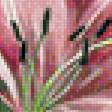 Предпросмотр схемы вышивки «Розовая лилия.» (№1954917)