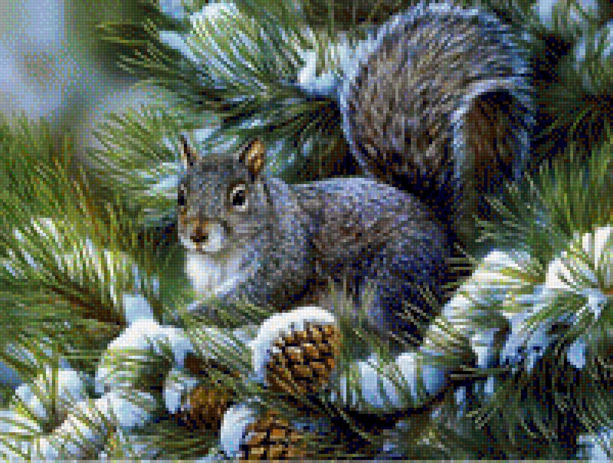 Orav väike - предпросмотр