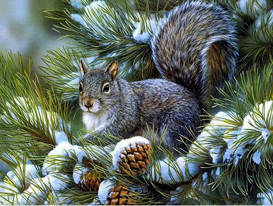 Orav keskmine - оригинал