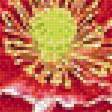 Предпросмотр схемы вышивки «№1955084»