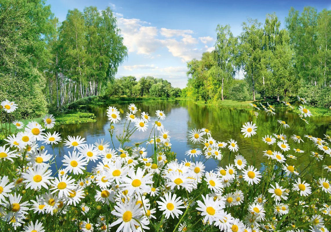 №1955131 - пейзаж, цветы - оригинал