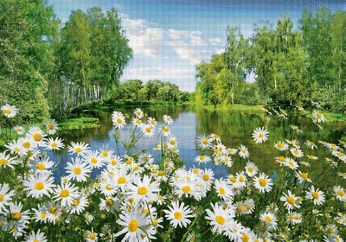 №1955131 - пейзаж, цветы - предпросмотр