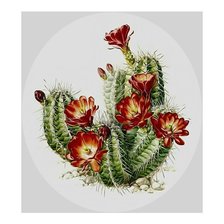 Схема вышивки «Кактус.»