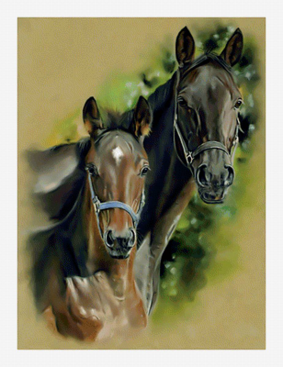 Лошади. - животные., лошади, кони - предпросмотр