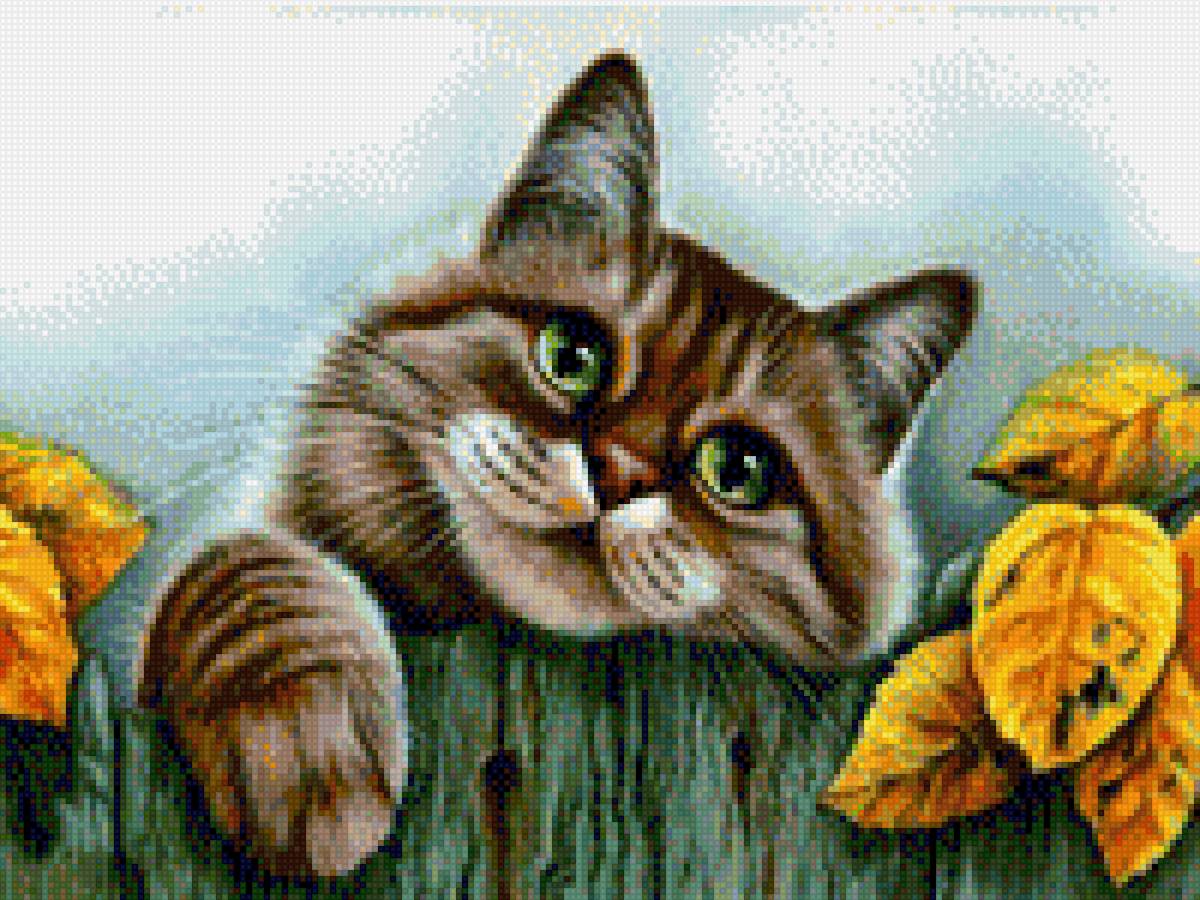 Кот на заборе - предпросмотр