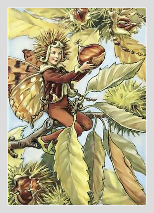 Феечки от Марджолен Бастин. - эльфы, феи, фентези., сказка - оригинал