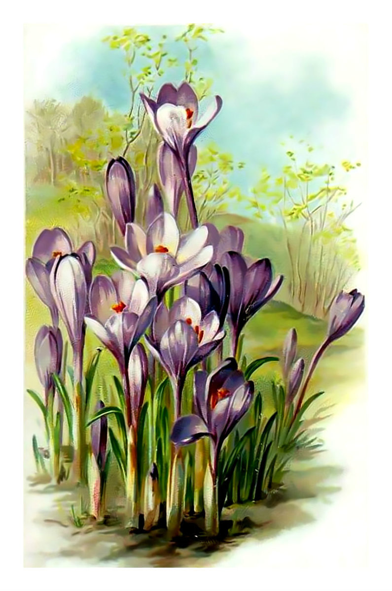 Первые весенние цветы. - цветы., природа, весна - оригинал