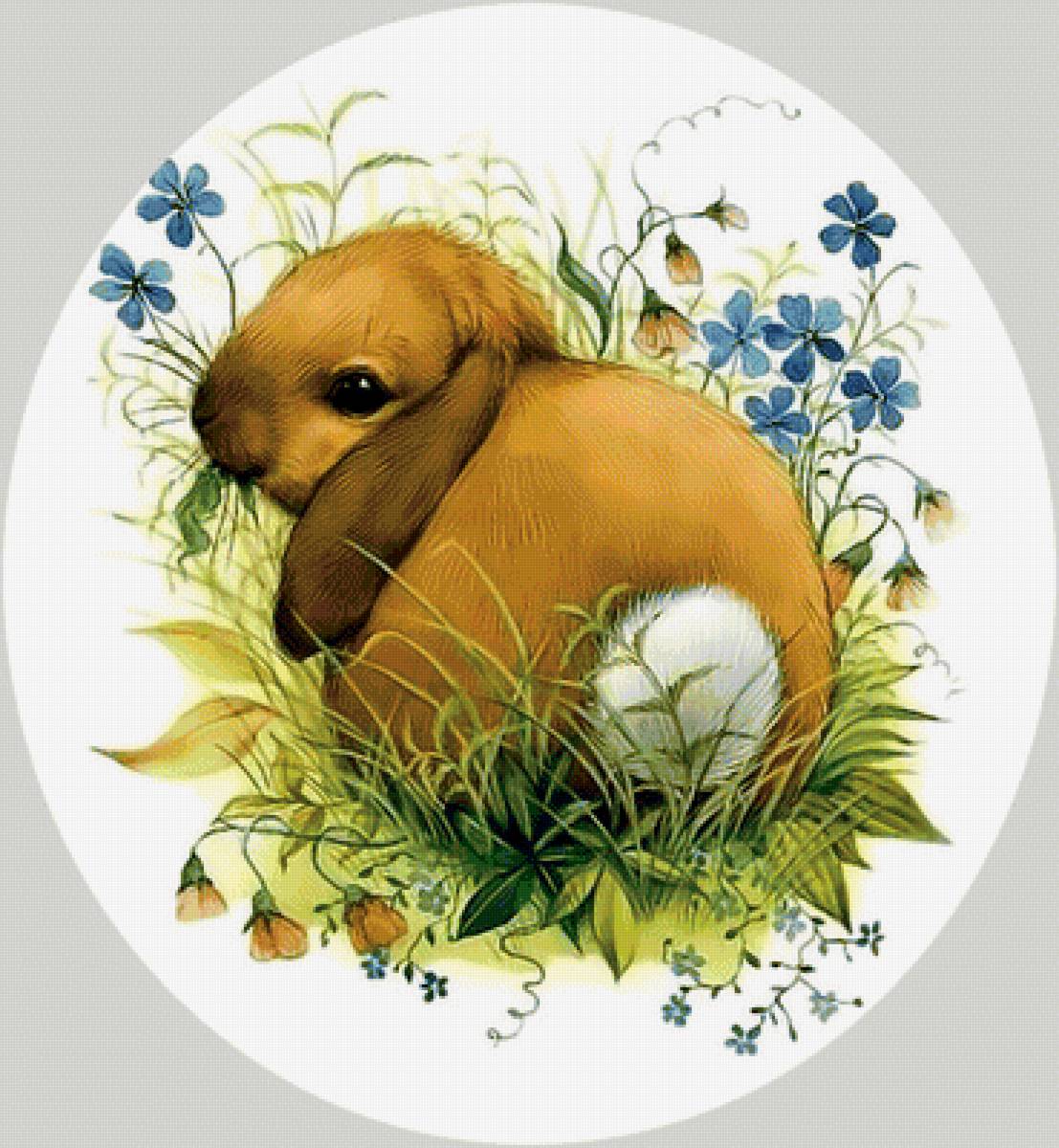 Зайка. - заяц, трава., цветы - предпросмотр