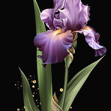 Схема вышивки «ирис»