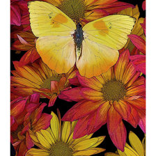 Оригинал схемы вышивки «Цветы и бабочка.» (№1955445)