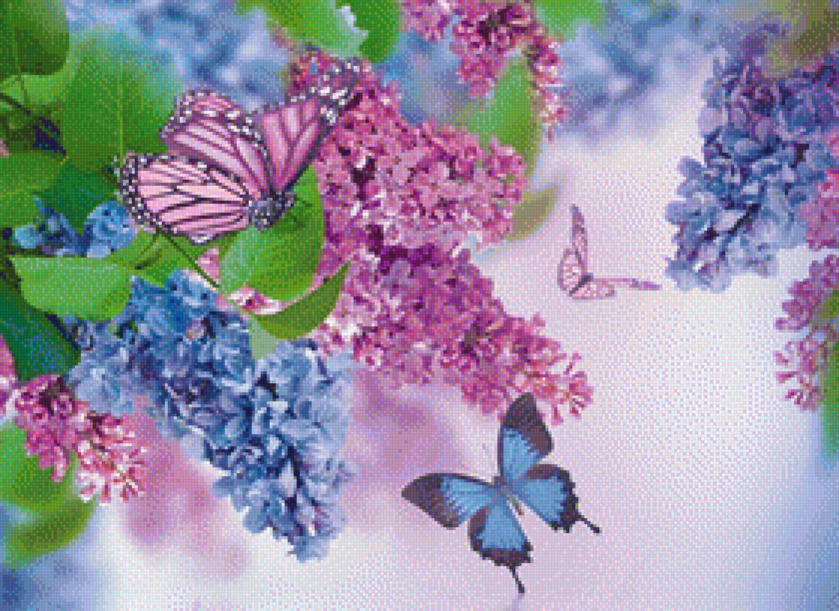 Бабочки - предпросмотр