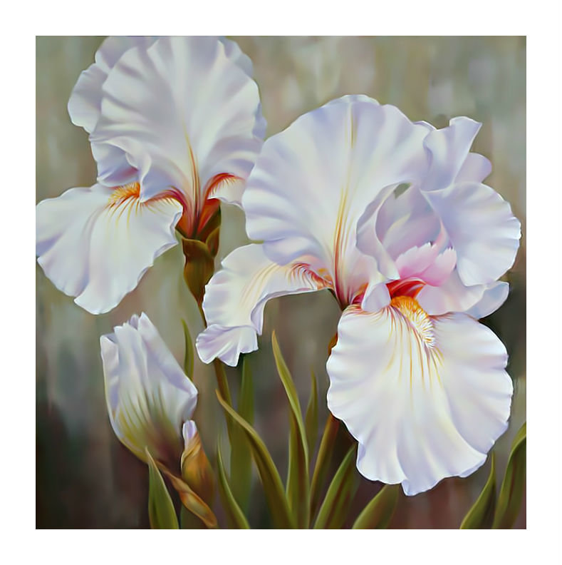 Нежные ирисы. - ирисы, живопись., цветы, белые - оригинал