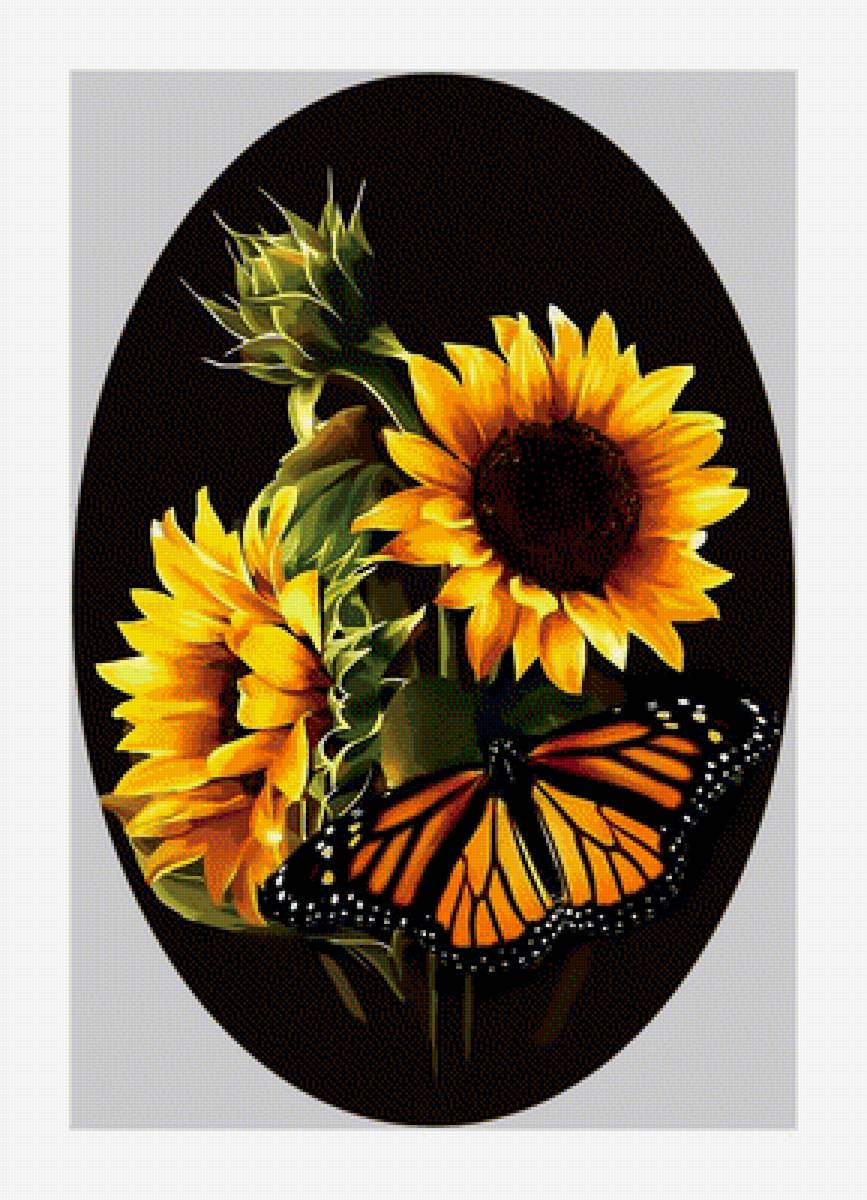 Бабочка. - подсолнухи., цветы, бабочка - предпросмотр