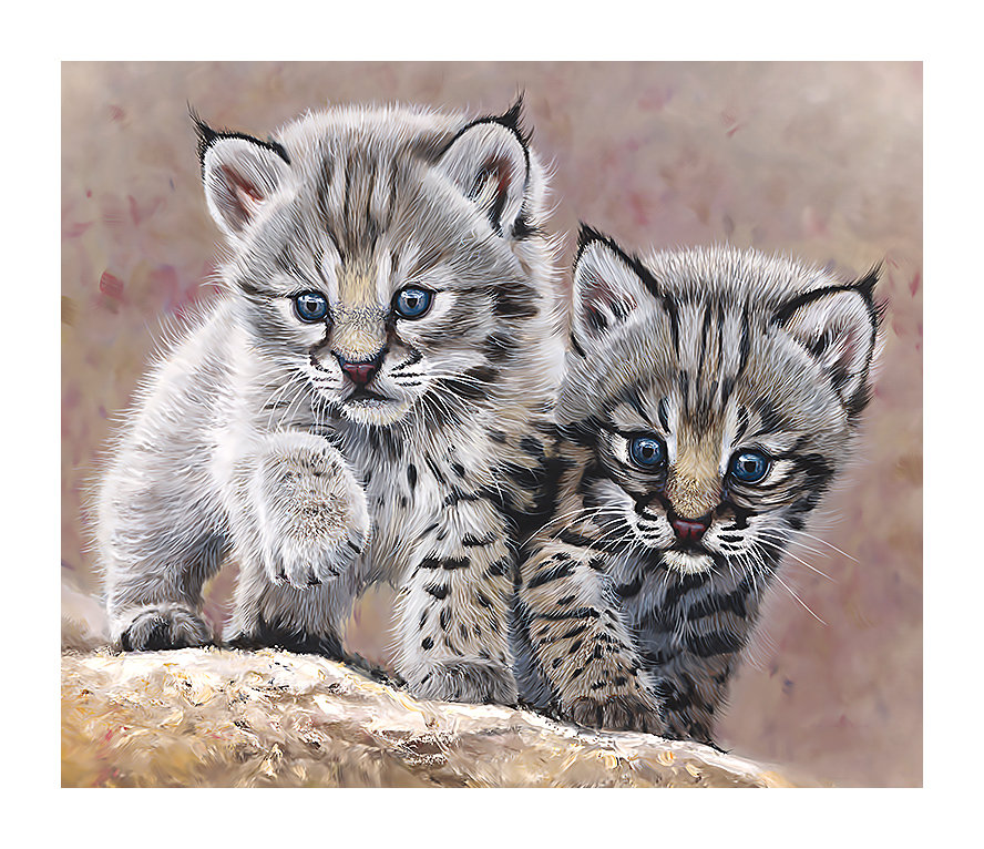 Серия "Хищники". - животные, хищники - оригинал