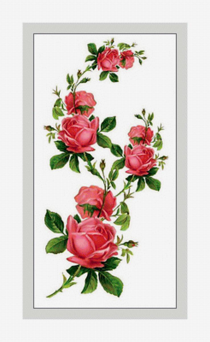 Розочки.Панелька. - цветы., ветка, розы - предпросмотр