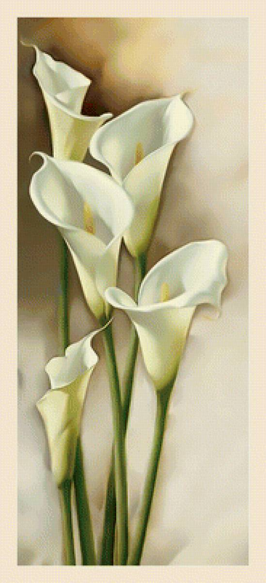 Каллы от Игоря Левашова.Панелька. - цветы., каллы - предпросмотр